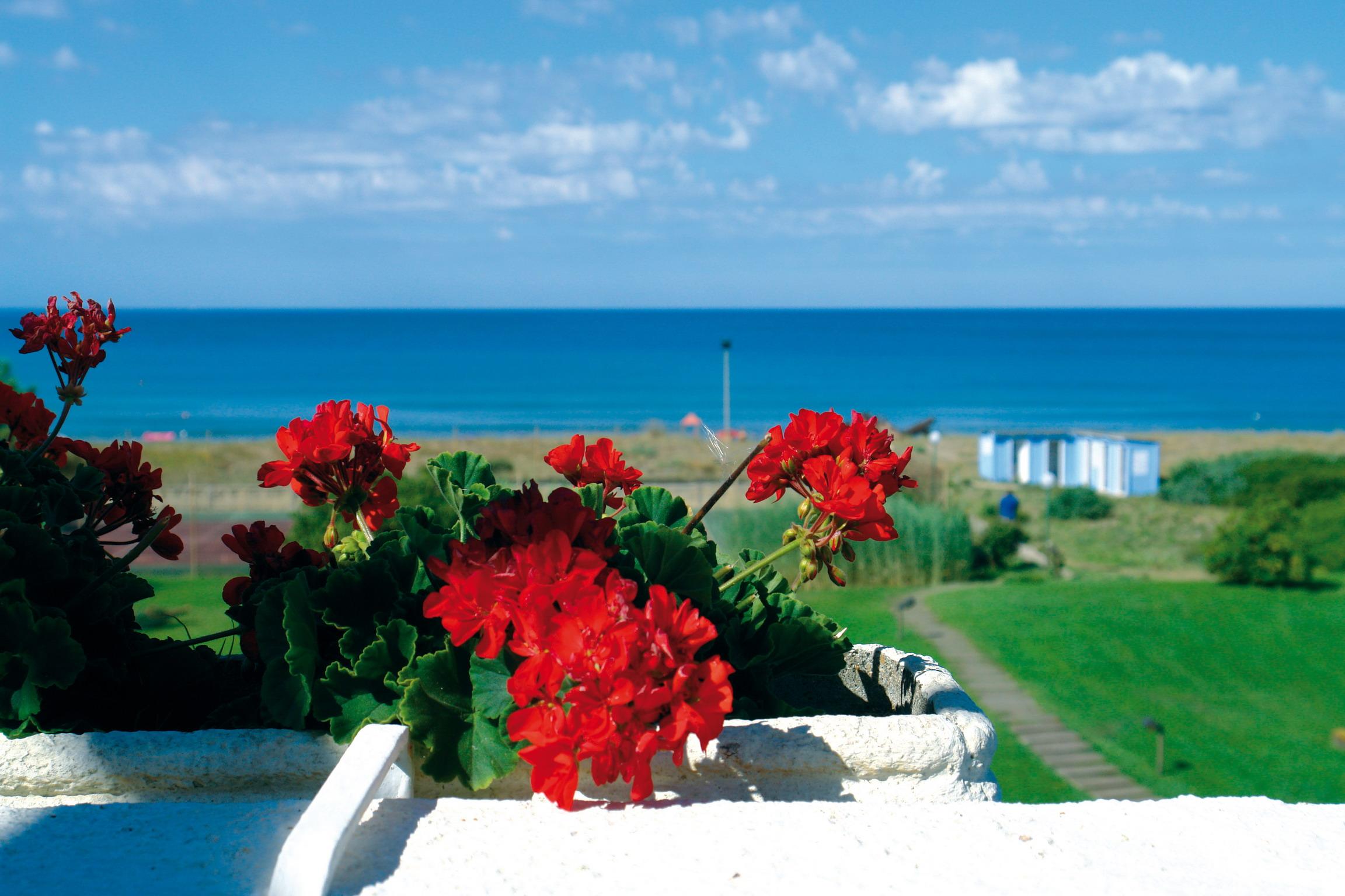 Hotel Della Baia Baia Domizia Ngoại thất bức ảnh